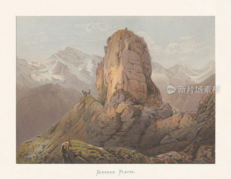 Schynige Platte (Gumihorn)，伯尔尼阿尔卑斯山，瑞士，色版画，出版约1872年